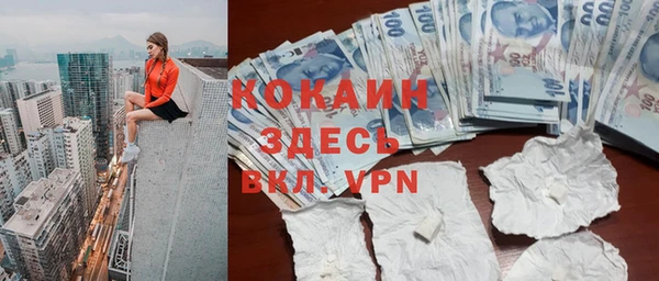 прущие грибы Абинск